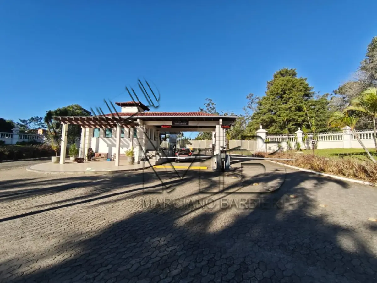 LOTE 333