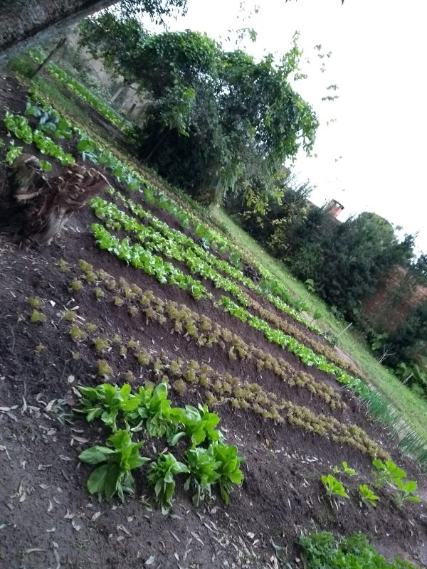 Excelente Sítio Em Viamão/rs, localizado em Viamão - RS