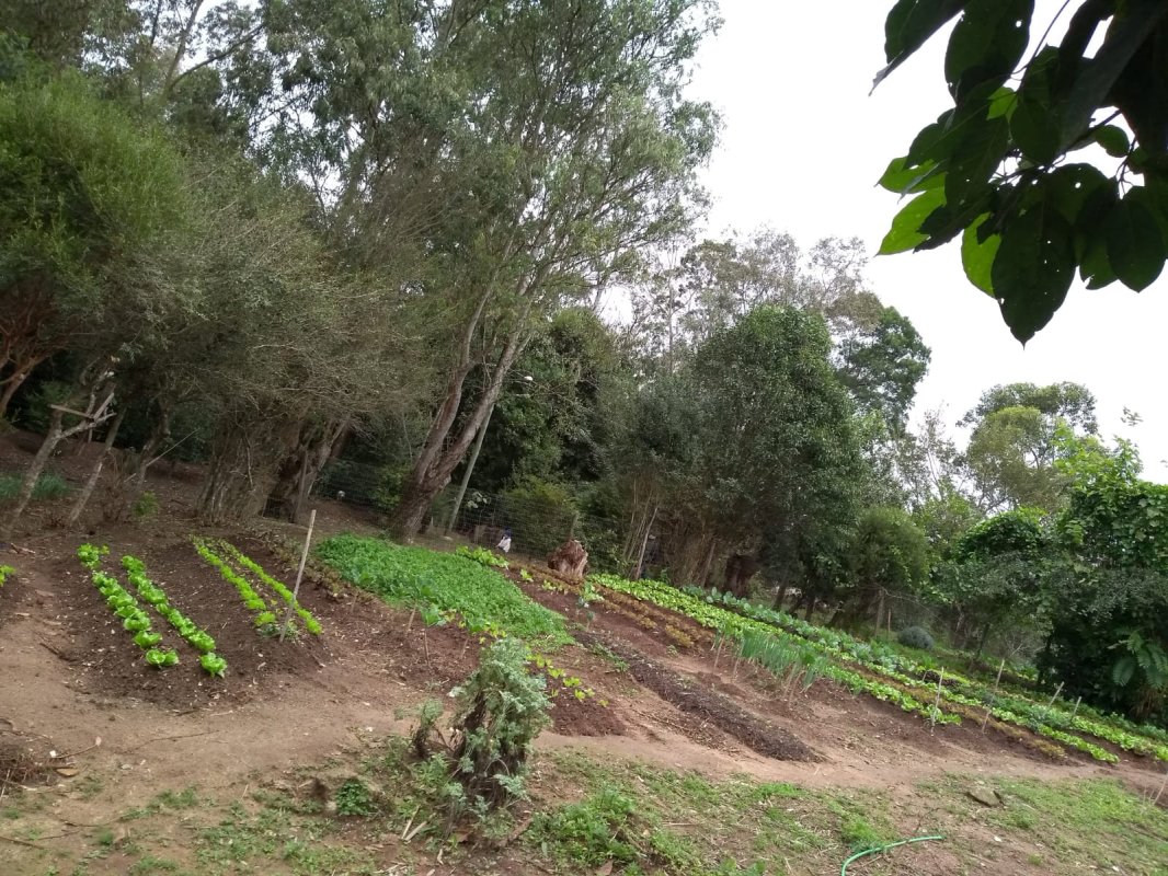 Excelente Sítio Em Viamão/rs, localizado em Viamão - RS